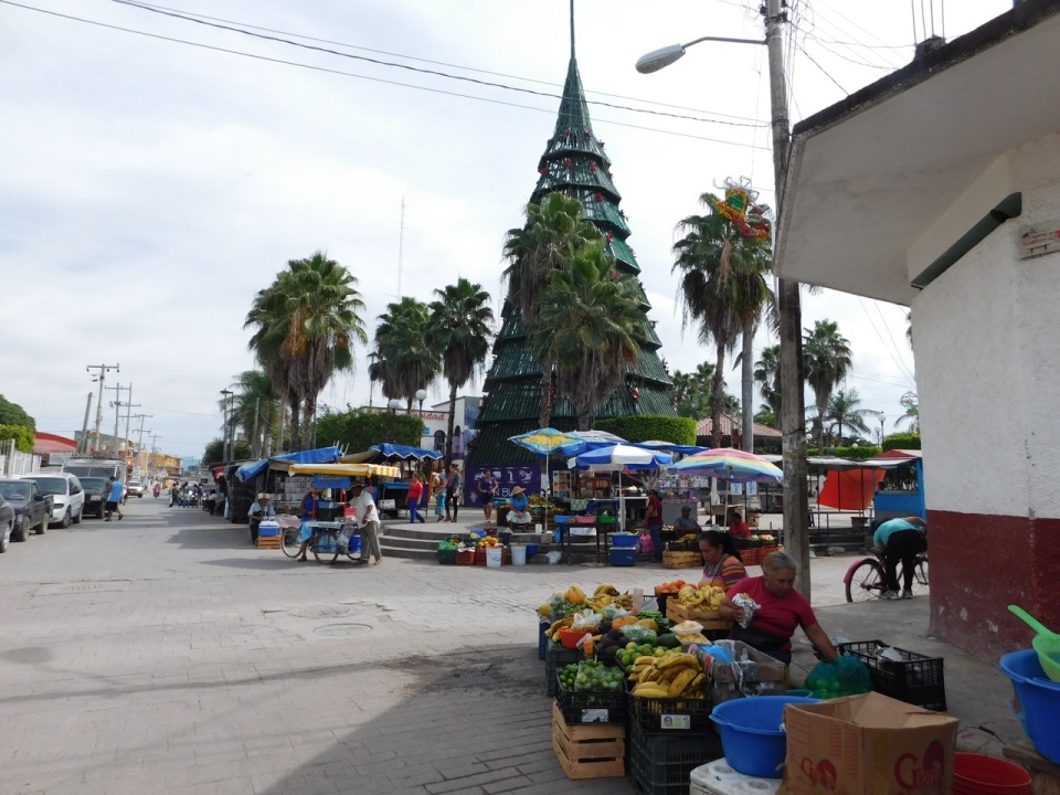 BP San Blas: fruit vendor: xmas tree